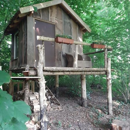 Baumhausnaechte Hotel Ladbergen Bagian luar foto