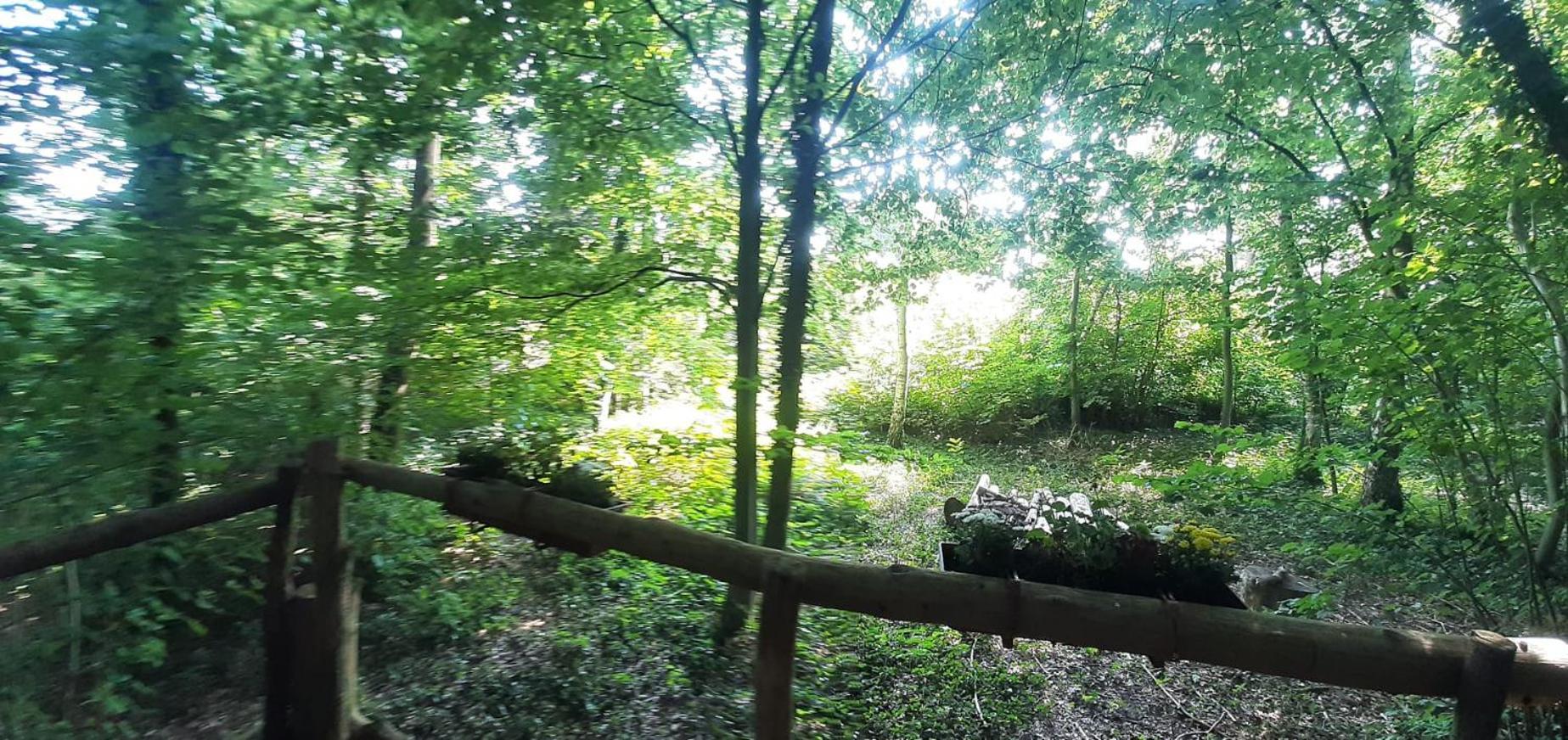 Baumhausnaechte Hotel Ladbergen Bagian luar foto
